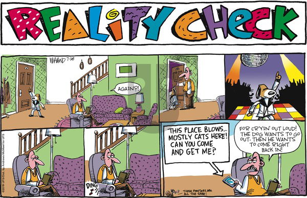 Reality Check on Sunday July 28, 2019 Comic Strip