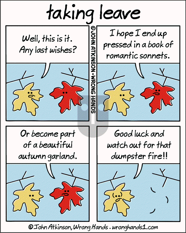 Wrong Hands on Friday December 6, 2024 Comic Strip