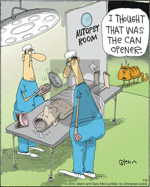 The Flying McCoys on Thursday July 5, 2012 Comic Strip