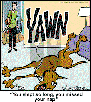 Marmaduke on Monday April 21, 2025 Comic Strip