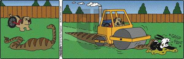 Buni - Monday November 19, 2012 Comic Strip