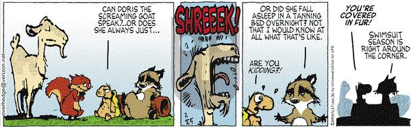 Over the Hedge on Wednesday February 25, 2015 Comic Strip