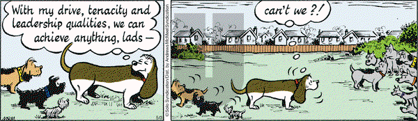 Fred Basset on Thursday May 3, 2018 Comic Strip