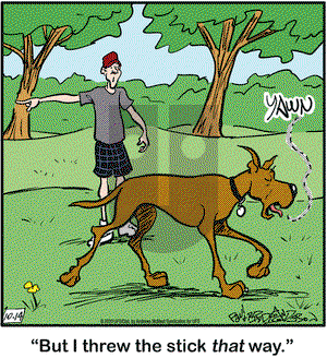 Marmaduke on Wednesday October 14, 2020 Comic Strip