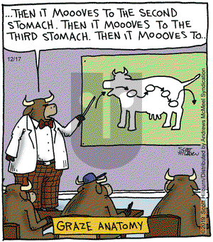 The Argyle Sweater on Tuesday December 17, 2019 Comic Strip
