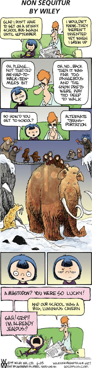 Non Sequitur on Sunday June 23, 2019 Comic Strip