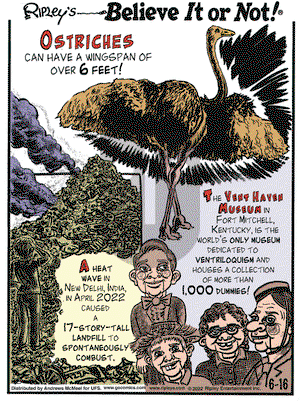 Ripley's Believe It or Not - Thursday June 16, 2022 Comic Strip