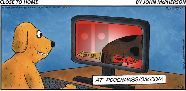 Close to Home on Sunday April 28, 2024 Comic Strip