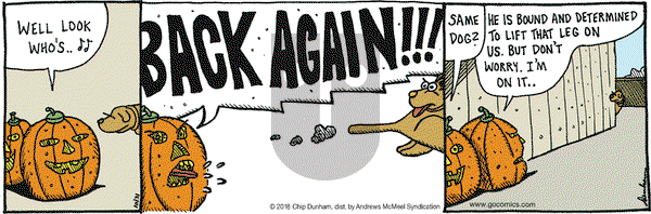 Overboard on Wednesday October 31, 2018 Comic Strip