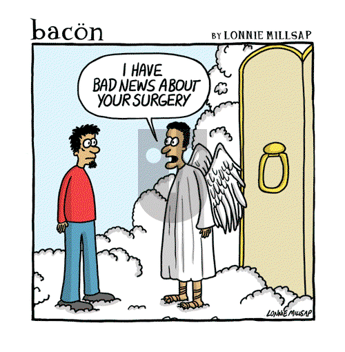 bacon - Wednesday December 6, 2023 Comic Strip