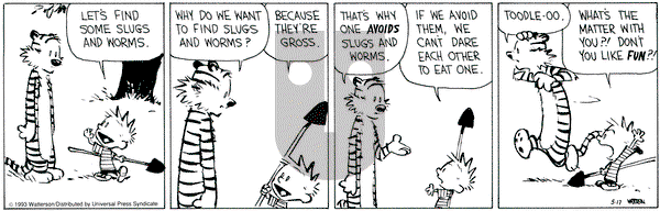 Calvin and Hobbes on Monday May 17, 1993 Comic Strip