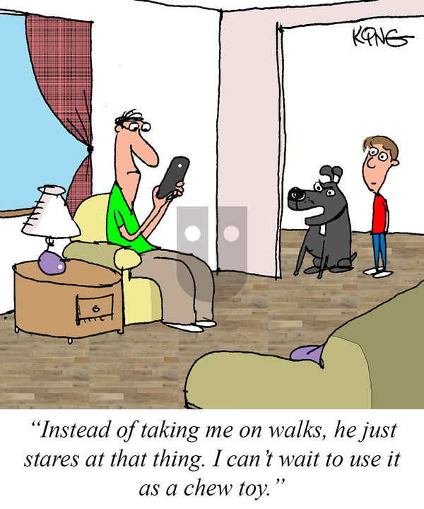 Jerry King Comics on Sunday March 30, 2025 Comic Strip