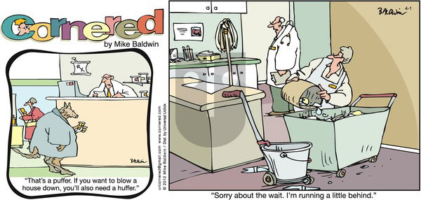 Cornered - Sunday April 1, 2012 Comic Strip