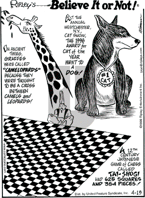 Ripley's Believe It or Not on Tuesday April 13, 1999 Comic Strip