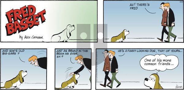 Fred Basset on Sunday March 23, 2025 Comic Strip