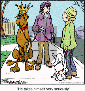Marmaduke on Saturday February 28, 2009 Comic Strip