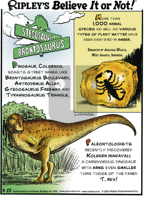 Ripley's Believe It or Not - Wednesday September 25, 2024 Comic Strip