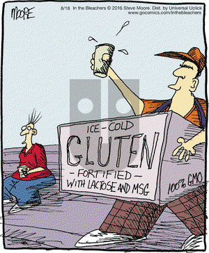 In the Bleachers on Thursday August 18, 2016 Comic Strip