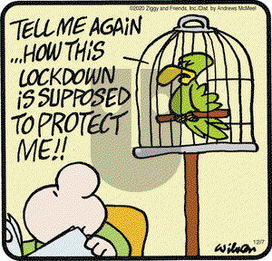 Ziggy on Monday December 7, 2020 Comic Strip