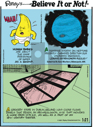 Ripley's Believe It or Not on Thursday January 21, 2021 Comic Strip