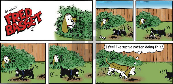 Fred Basset on Sunday October 9, 2016 Comic Strip
