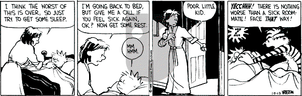 Calvin and Hobbes - Thursday October 13, 1988 Comic Strip