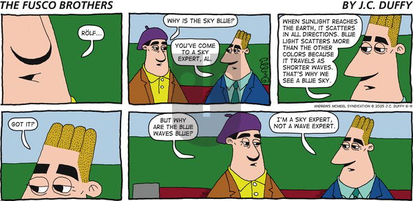 The Fusco Brothers on Sunday June 8, 2025 Comic Strip
