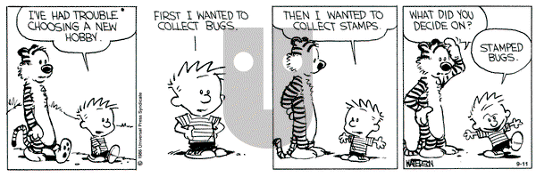 Calvin and Hobbes on Wednesday September 11, 1991 Comic Strip