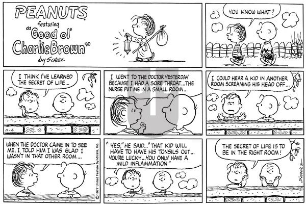 Peanuts on Sunday November 6, 1977 Comic Strip