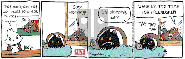 Breaking Cat News on Saturday June 24, 2017 Comic Strip