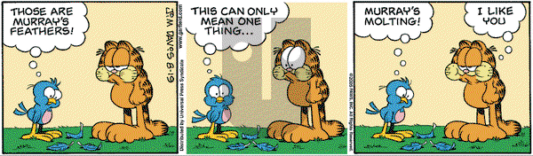 Garfield on Friday August 19, 2005 Comic Strip