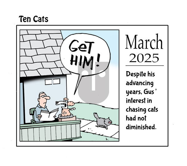 Ten Cats on Saturday March 8, 2025 Comic Strip