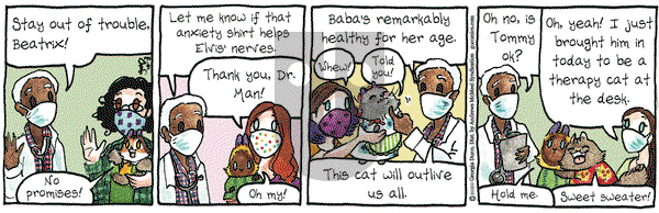 Breaking Cat News on Saturday October 3, 2020 Comic Strip