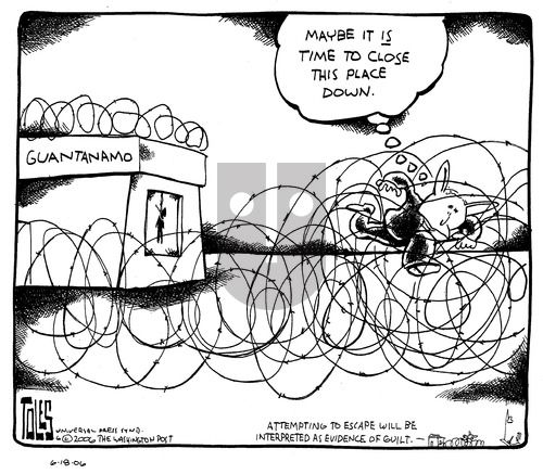Tom Toles on Sunday June 18, 2006 Comic Strip