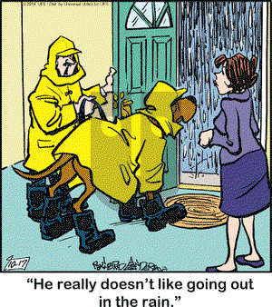 Marmaduke on Friday October 17, 2014 Comic Strip