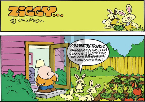 Ziggy on Sunday February 1, 2015 Comic Strip