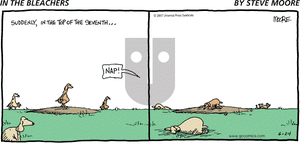 In the Bleachers - Sunday June 24, 2007 Comic Strip