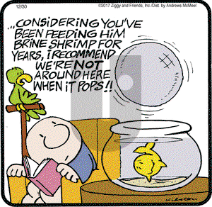 Ziggy on Saturday December 30, 2017 Comic Strip