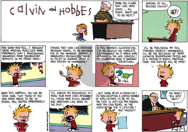 Calvin and Hobbes on Sunday December 14, 2014 Comic Strip