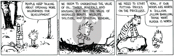 Calvin and Hobbes on Monday November 27, 1995 Comic Strip