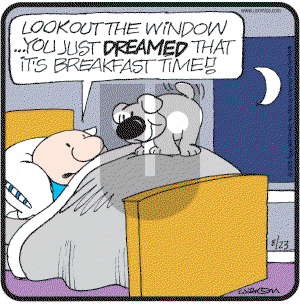 Ziggy - Tuesday August 23, 2005 Comic Strip