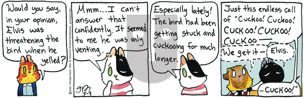 Breaking Cat News on Wednesday May 7, 2025 Comic Strip