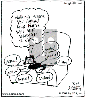 Kit 'N' Carlyle on Friday September 14, 2001 Comic Strip