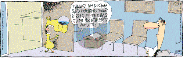 The Duplex on Thursday December 7, 2006 Comic Strip