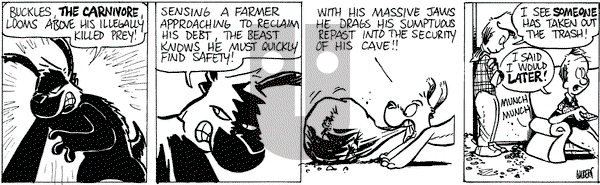 Buckles - Wednesday December 6, 2023 Comic Strip