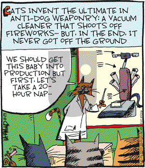 Reality Check on Tuesday August 19, 2014 Comic Strip