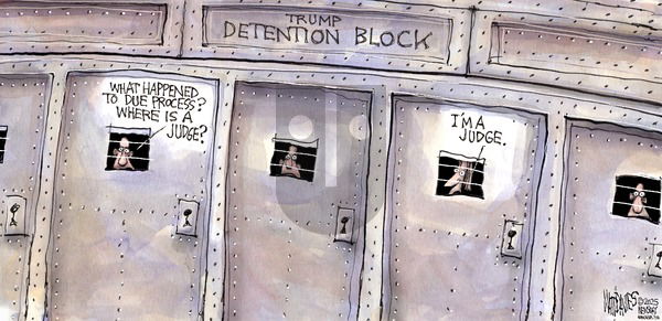 Matt Davies on Sunday April 27, 2025 Comic Strip