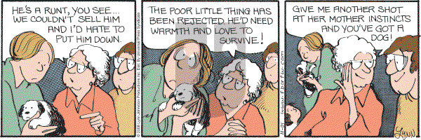 For Better or For Worse - Saturday November 1, 2008 Comic Strip