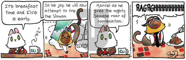 Breaking Cat News on Thursday November 5, 2020 Comic Strip