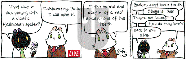 Breaking Cat News on Saturday January 25, 2020 Comic Strip